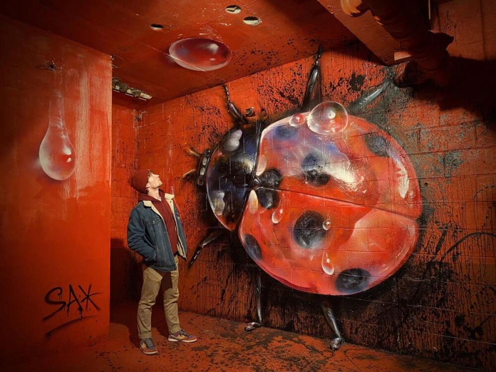 Coccinelle